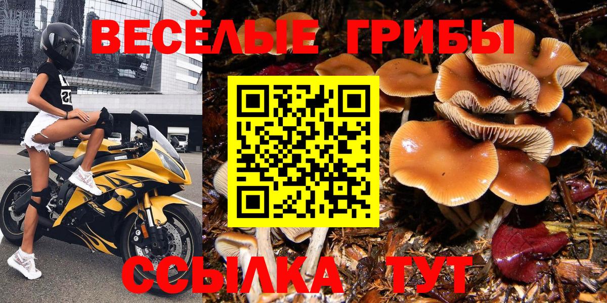 Галлюциногенные грибы Psilocybine cubensis  магазин  наркотиков  Кемерово  Вход с VPN 